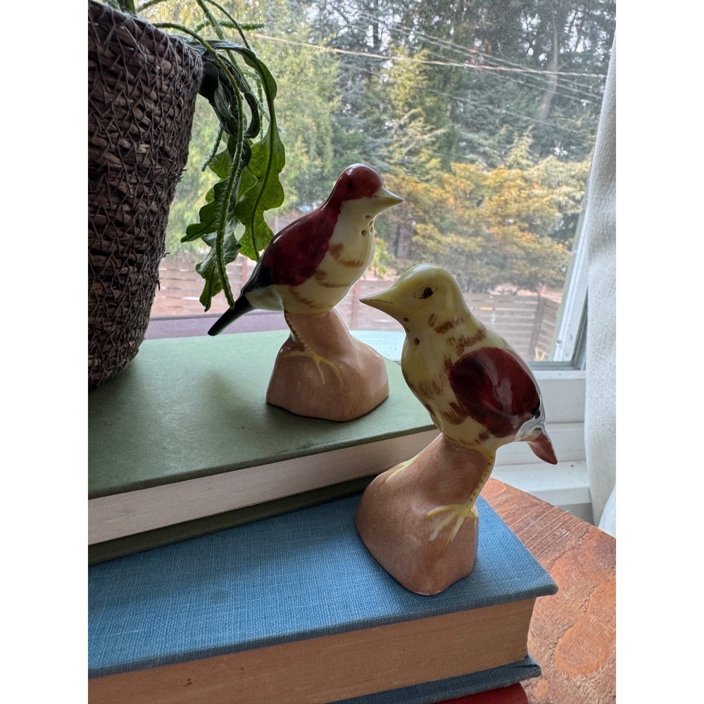 VTG Limoges France? Japan? Porcelain Bird Salt and Pepper Shakers Set Red Yellow